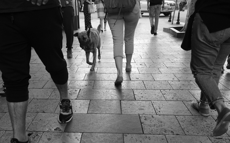 Mental health and walking